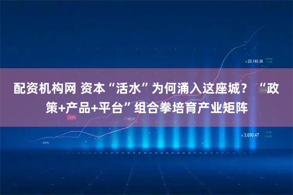 配资机构网 资本“活水”为何涌入这座城？ “政策+产品+平台”组合拳培育产业矩阵