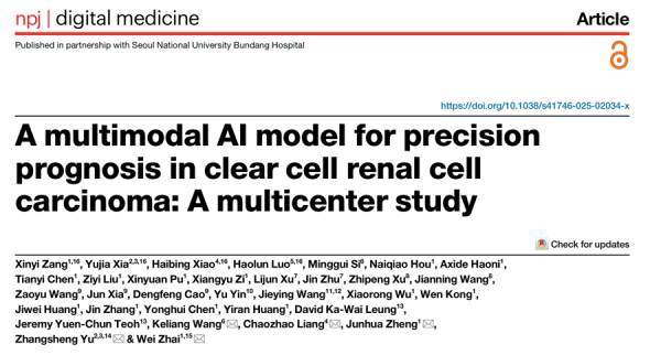 炒股配资网站识必选 AI预测肾癌复发风险，上海仁济医院团队研究新成果登《自然》子刊