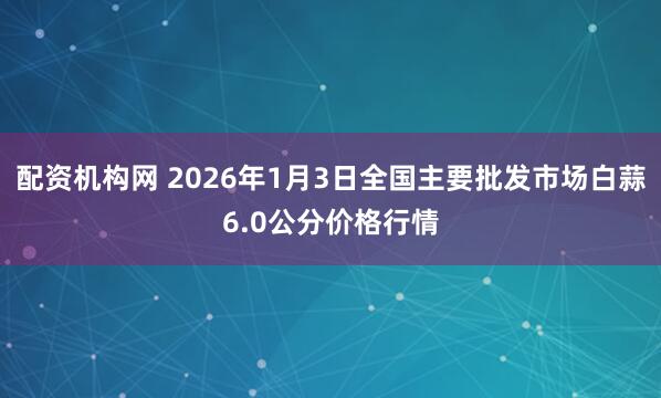 配资机构网 2026年1月3日全国主要批发市场白蒜6.0公分价格行情