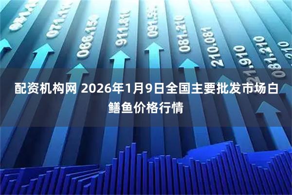 配资机构网 2026年1月9日全国主要批发市场白鳝鱼价格行情